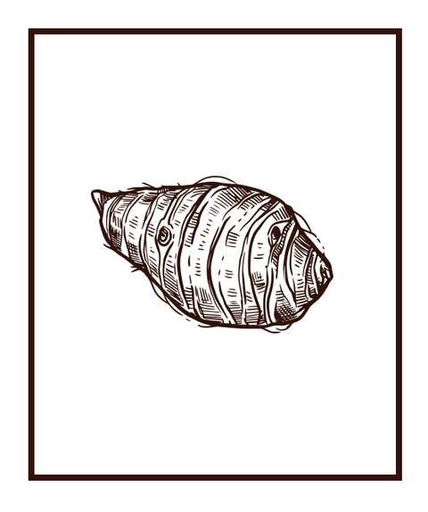 Frozen Taro 2 x 5kg